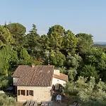 Fiorenzani