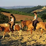 Fiorenzani * Radicondoli