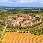 Fiorenzani Radicondoli