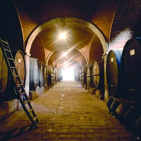 Fiorenzani Villa *